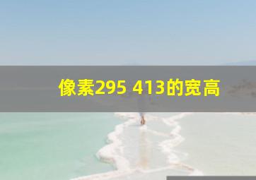 像素295 413的宽高